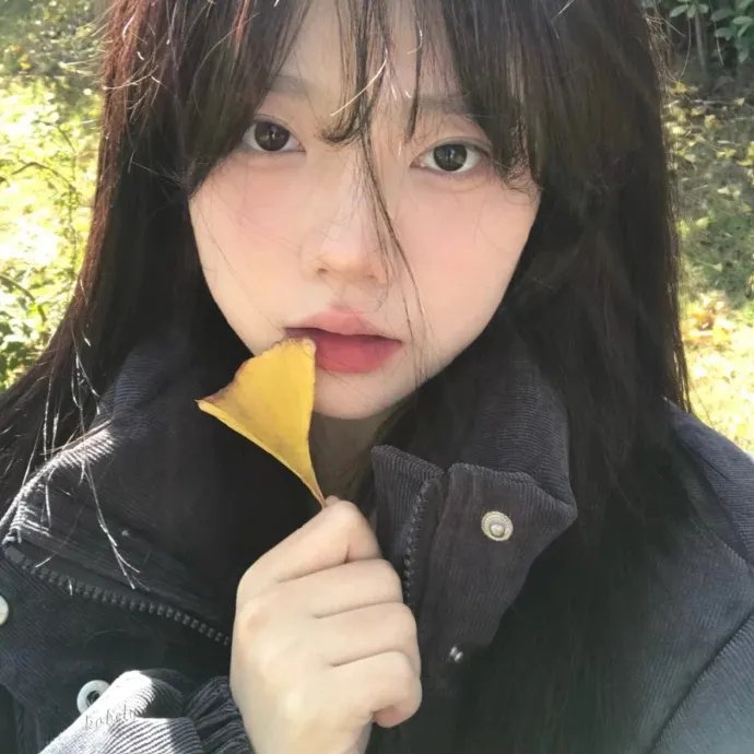 拳皇